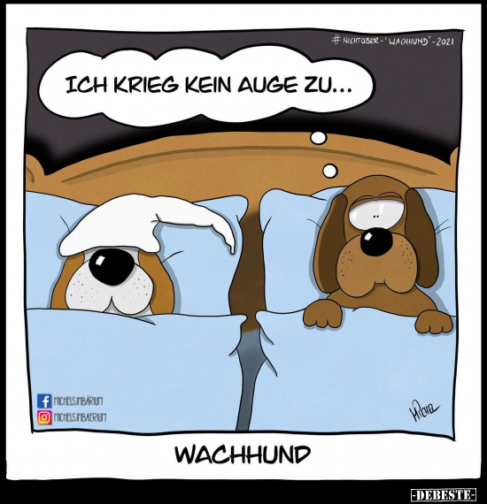 Wachhund.. - Lustige Bilder | DEBESTE.de