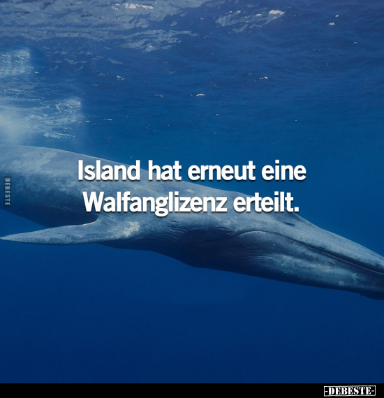 Island hat erneut eine Walfanglizenz erteilt... - Lustige Bilder | DEBESTE.de