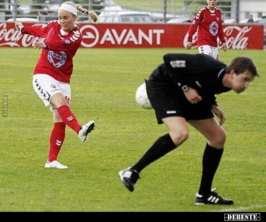  - Lustige Bilder | DEBESTE.de