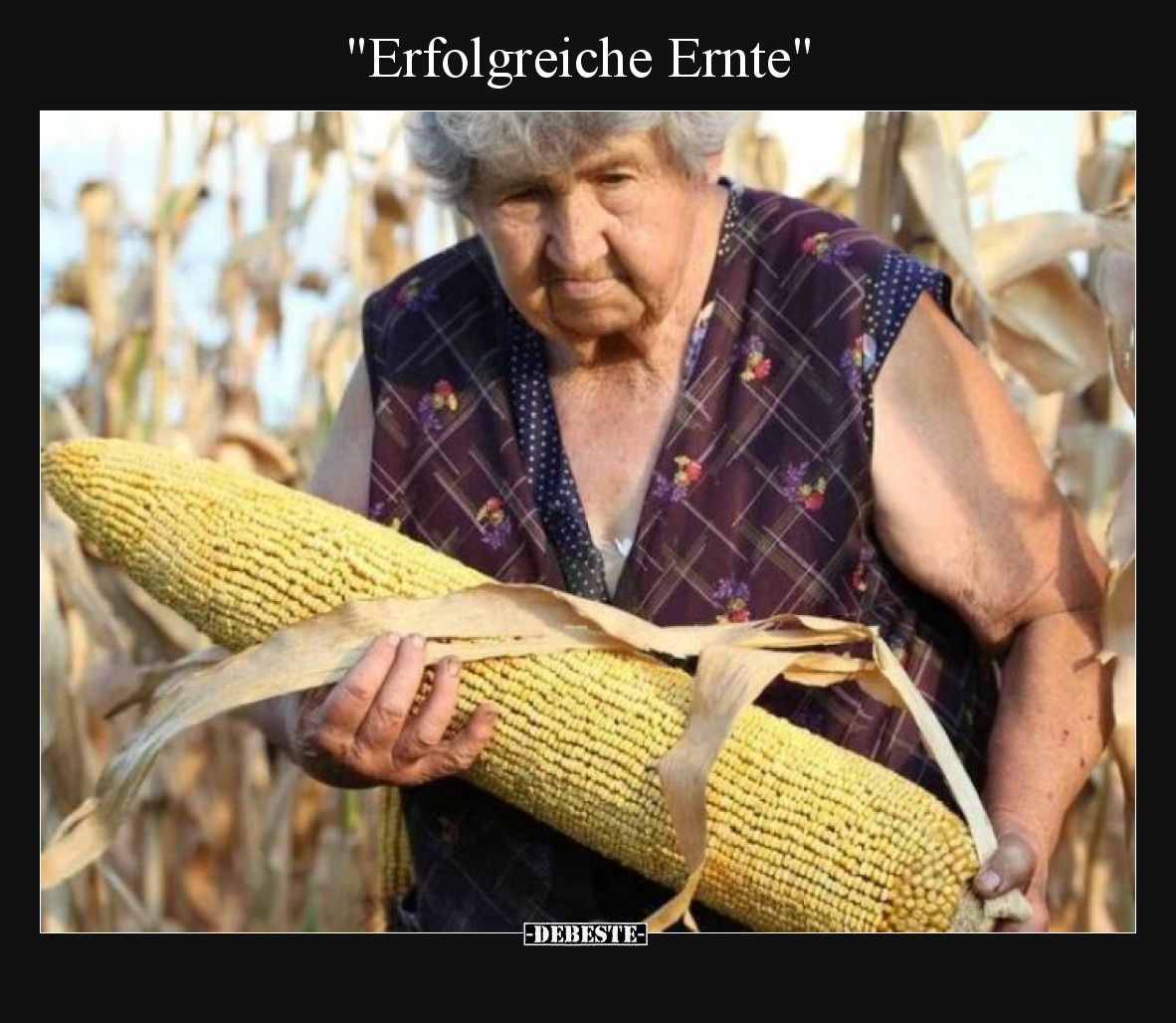 Erfolgreiche Ernte