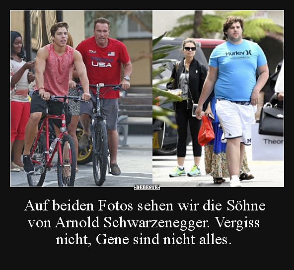 Auf beiden Fotos sehen wir die Söhne von Arnold.. - Lustige Bilder | DEBESTE.de