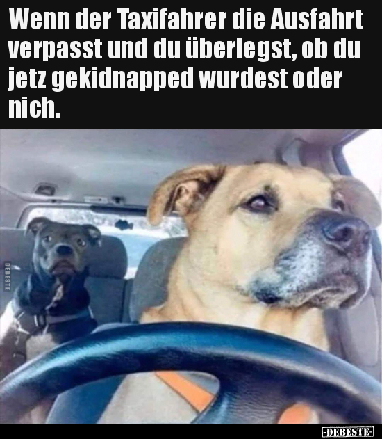 Wenn der Taxifahrer die Ausfahrt verpasst und du überlegst.. - Lustige Bilder | DEBESTE.de
