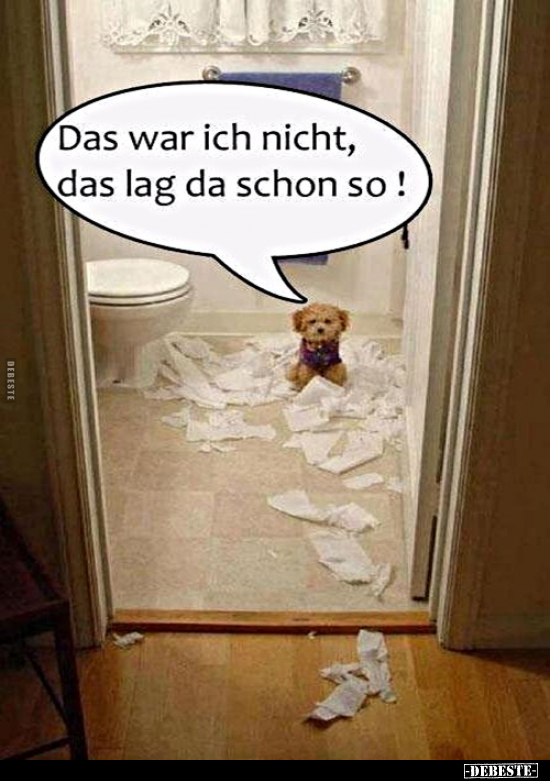 Das war ich nicht, das lag da schon so!..