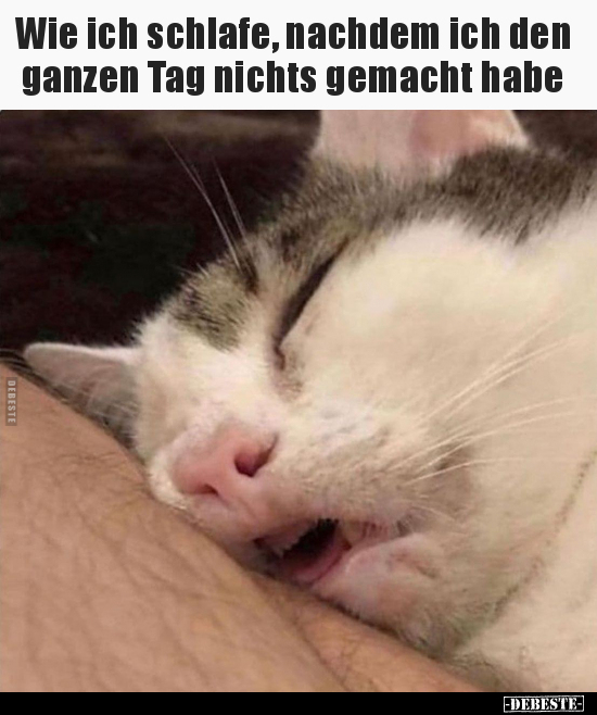 Wie ich schlafe, nachdem ich den ganzen Tag nichts gemacht.. - Lustige Bilder | DEBESTE.de