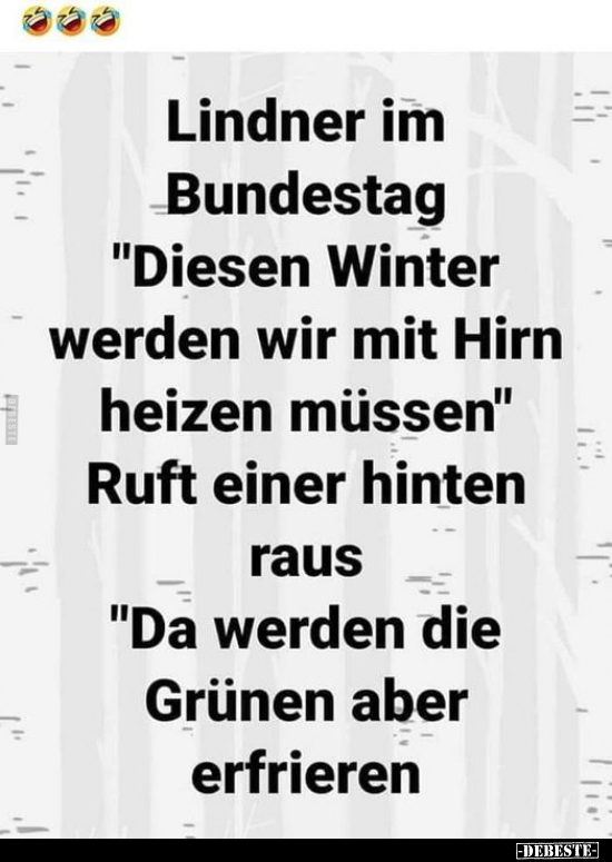 Lindner im Bundestag "Diesen Winter werden wir mit Hirn.." - Lustige Bilder | DEBESTE.de