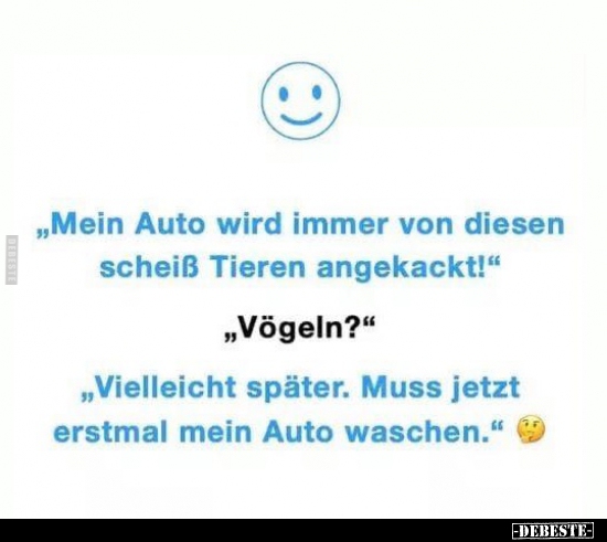 Tiere, Auto, Tier, Heiß