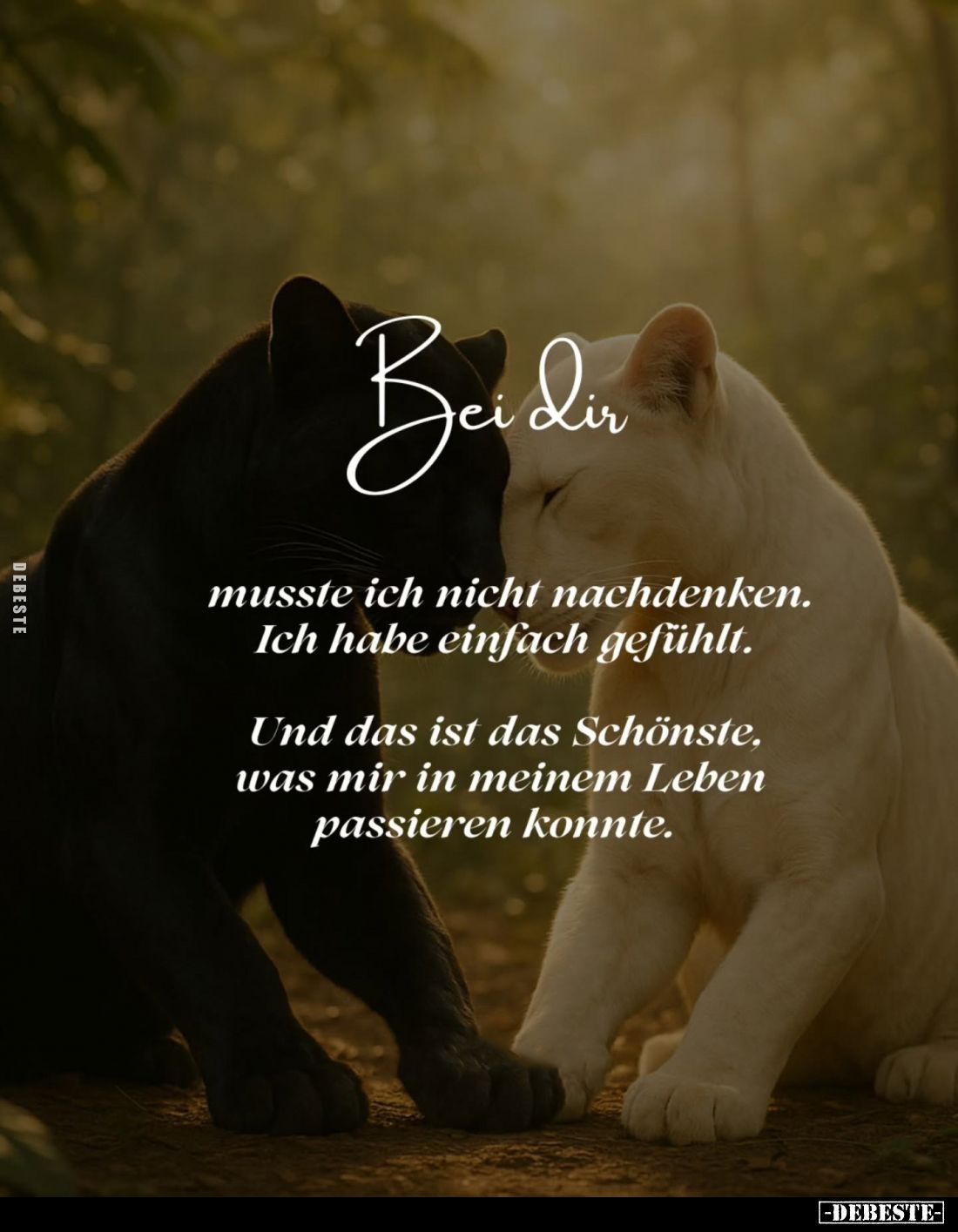 Bei dir
musste ich nicht nachdenken. Ich habe einfach gefühlt.
Und das ist das Schönste, was mir in meinem Leben passieren ...