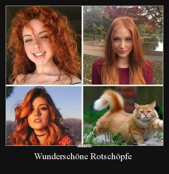Wunderschöne Rotschöpfe..