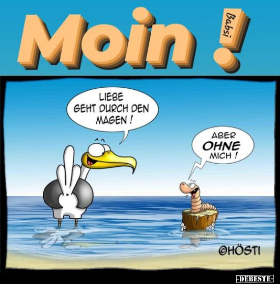 Moin!.. - Lustige Bilder | DEBESTE.de