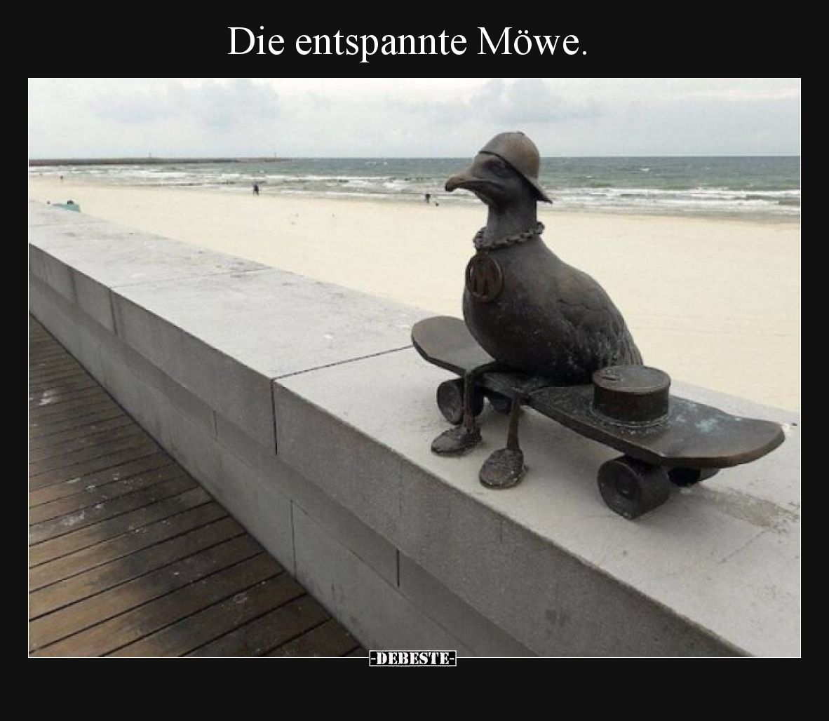 Die entspannte Möwe