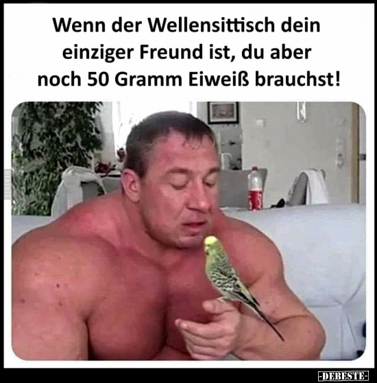 Wenn der Wellensittisch dein einziger Freund ist, du aber..