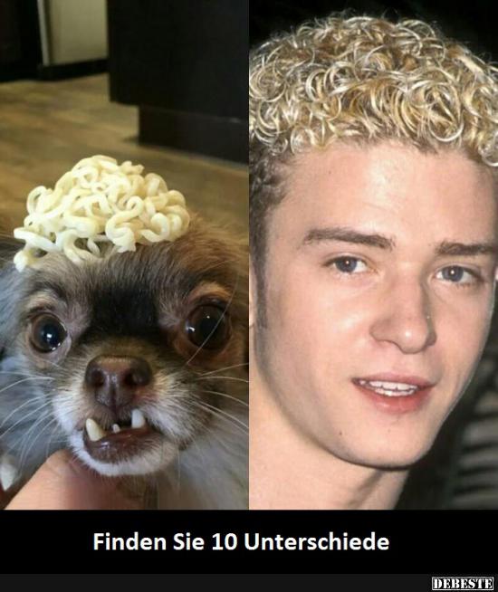 Finden Sie 10 Unterschiede..