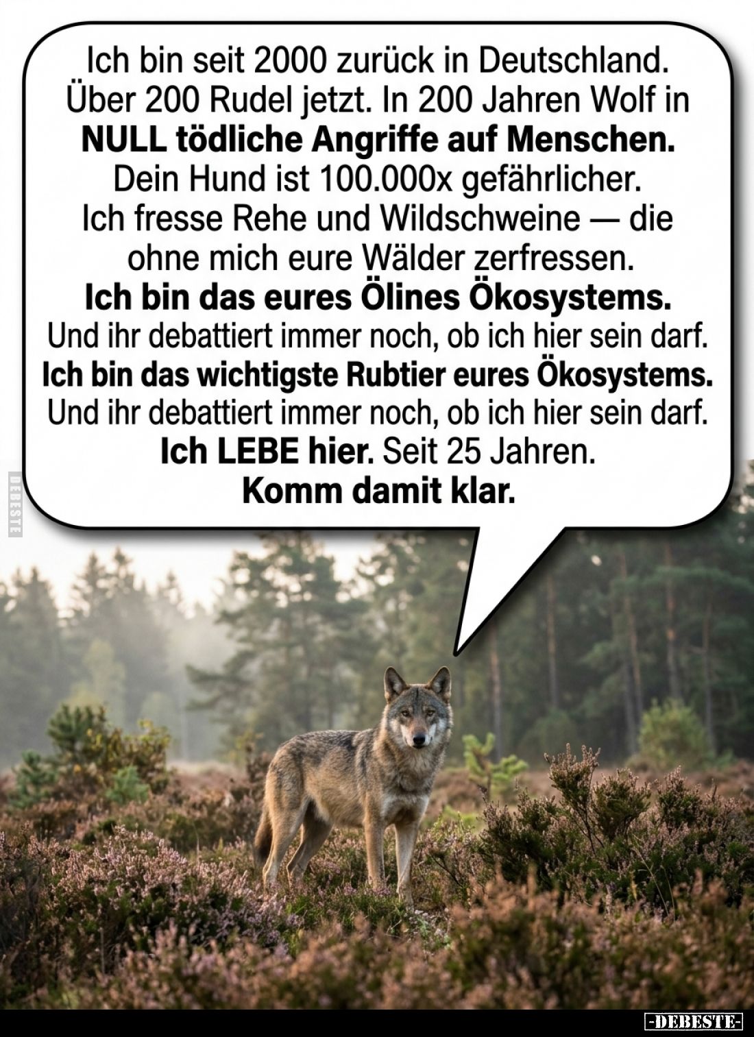 Ich bin seit 2000 zurück in Deutschland... - Lustige Bilder | DEBESTE.de