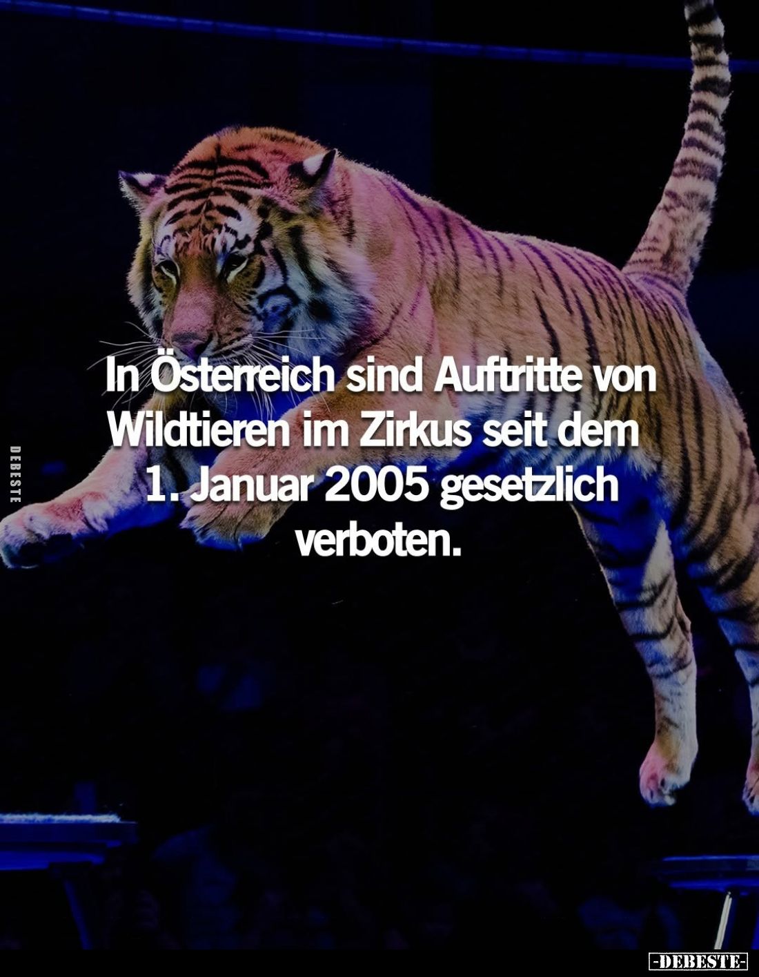 In Österreich sind Auftritte von Wildtieren im Zirkus seit dem 1. Januar 2005 gesetzlich verboten.