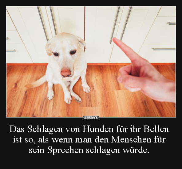 Das Schlagen von Hunden für ihr Bellen ist so, als wenn.. - Lustige Bilder | DEBESTE.de