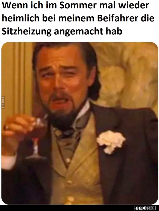 Wenn ich im Sommer mal wieder heimlich bei meinem Beifahrer.. - Lustige Bilder | DEBESTE.de