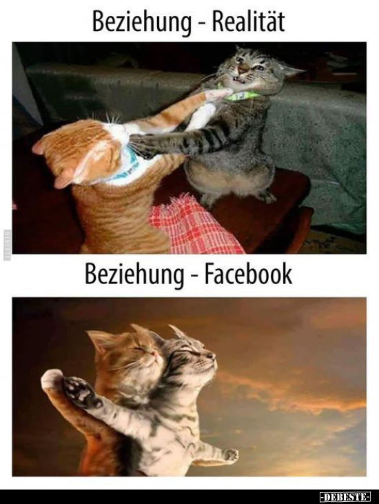 Beziehung - Realität.. - Lustige Bilder | DEBESTE.de