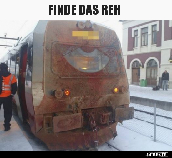 Finde das Reh... - Lustige Bilder | DEBESTE.de