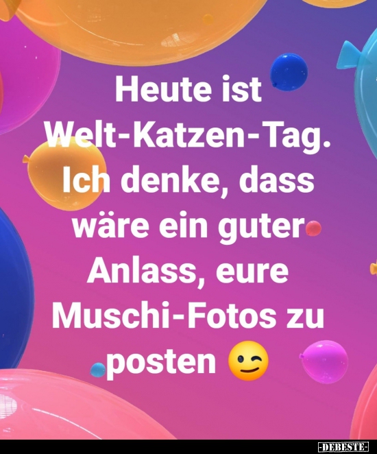 Heute ist Welt-Katzen-Tag...