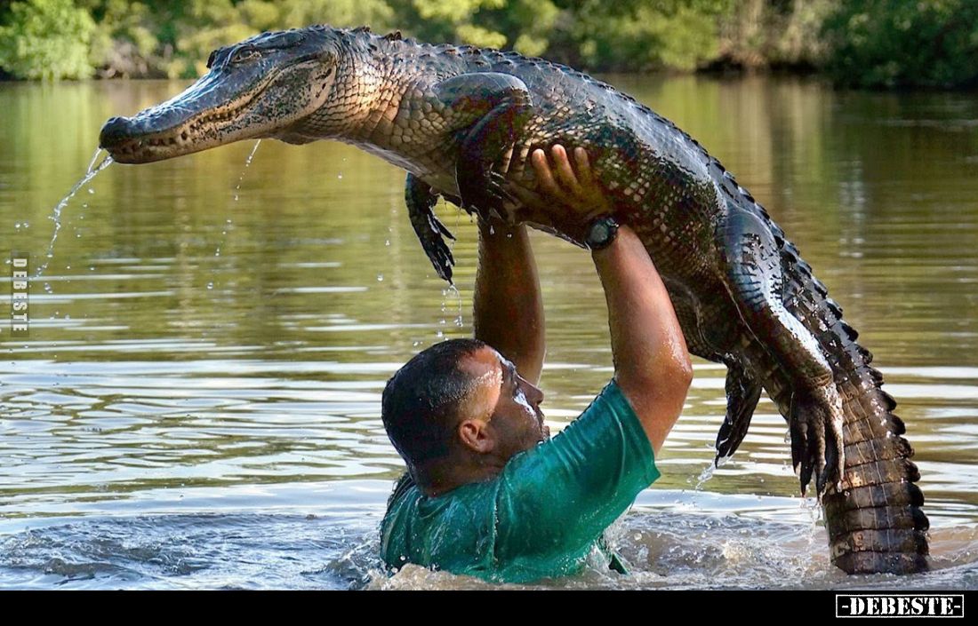  - Lustige Bilder | DEBESTE.de