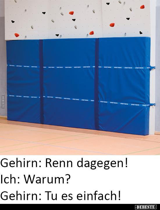 Gehirn: Renn dagegen!..