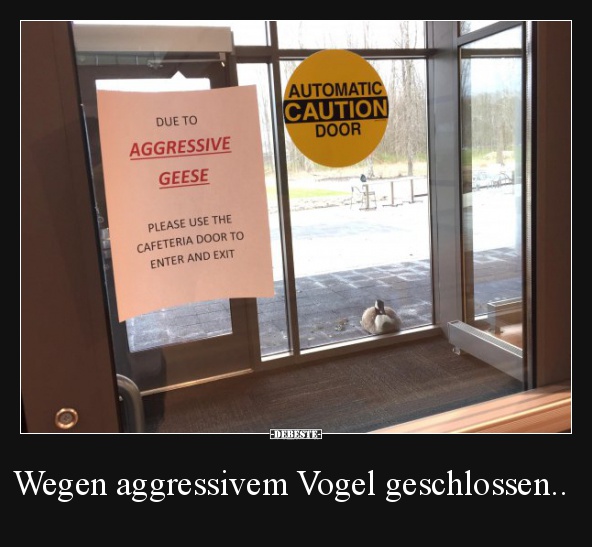 Wegen aggressivem Vogel geschlossen.. - Lustige Bilder | DEBESTE.de