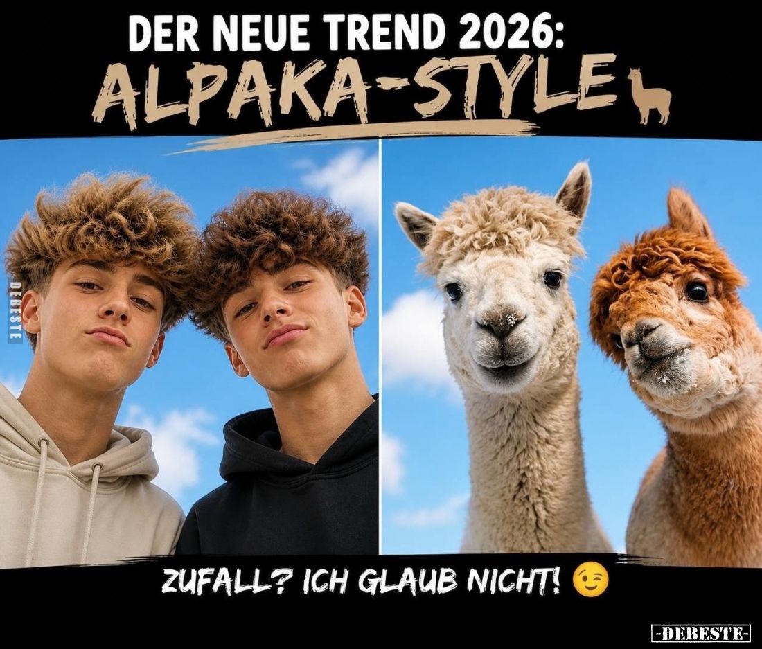 Der neue Trend 2026: Alpaka-Style.
Zufall? Ich glaub nicht.