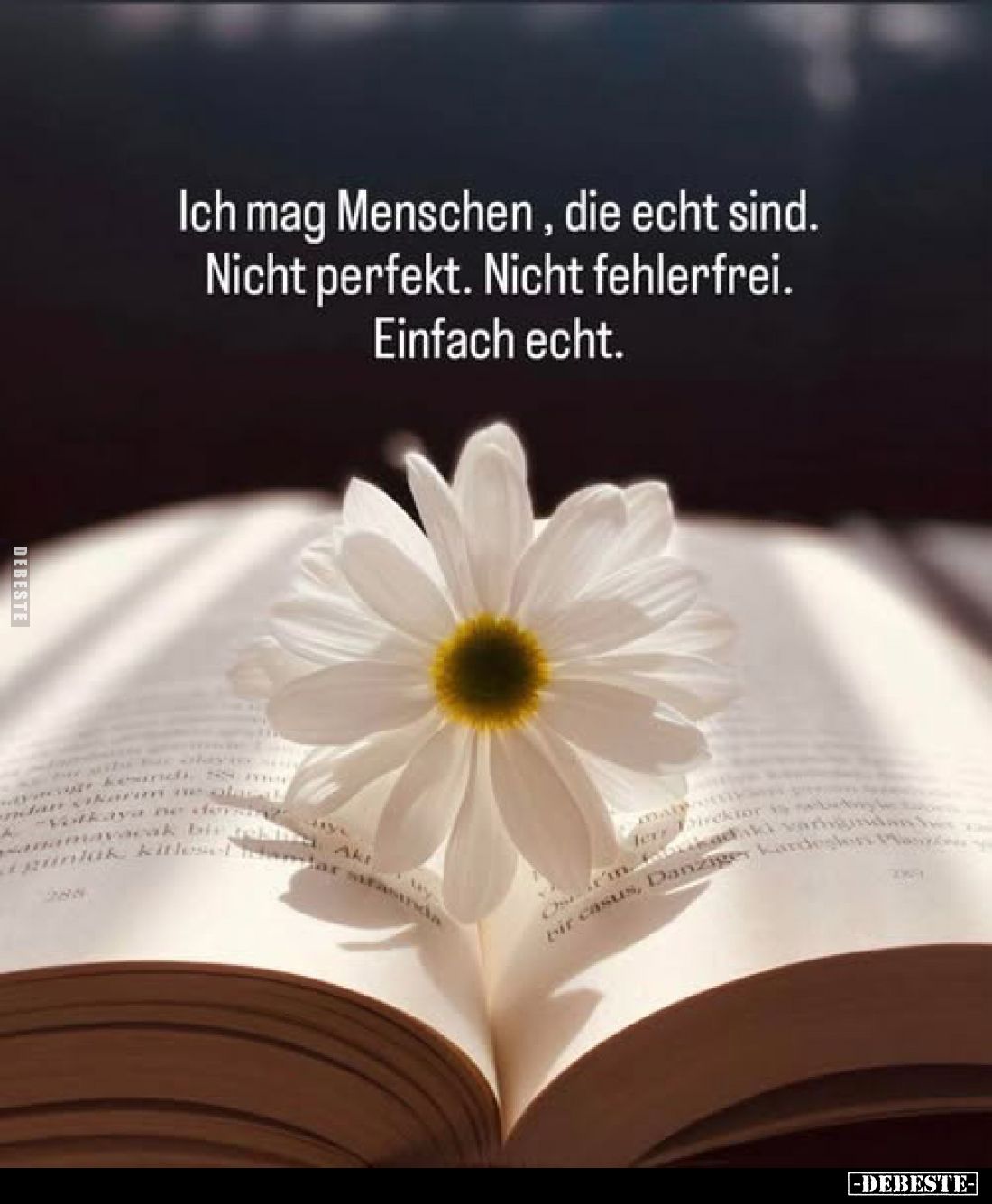 Ich mag Menschen, die echt sind. Nicht perfekt. Nicht fehlerfrei. Einfach echt.