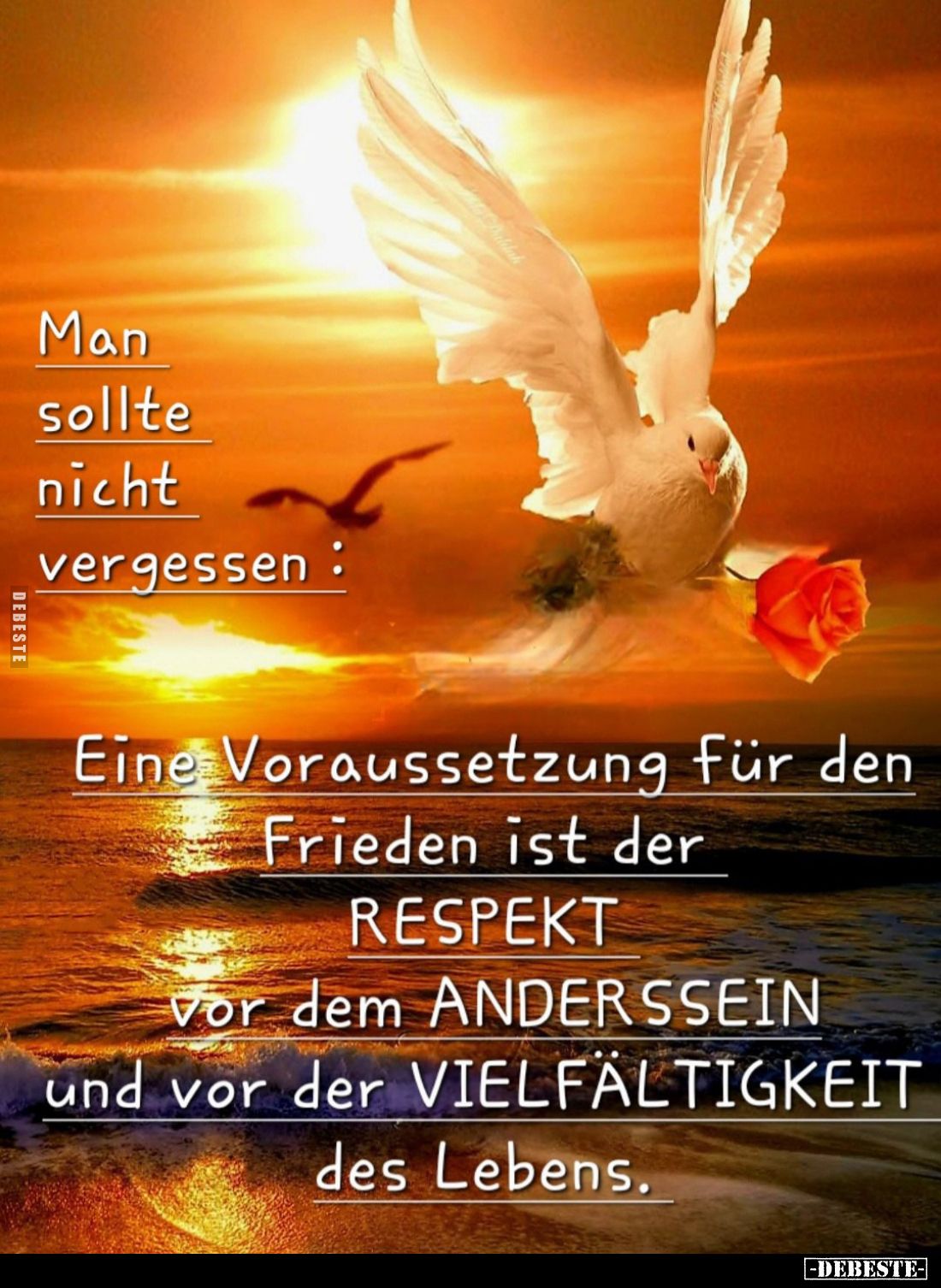 Man sollte nicht vergessen:
eine Voraussetzung für den Frieden ist der Respekt vor dem Anderssein und vor der Vielfältigkeit...