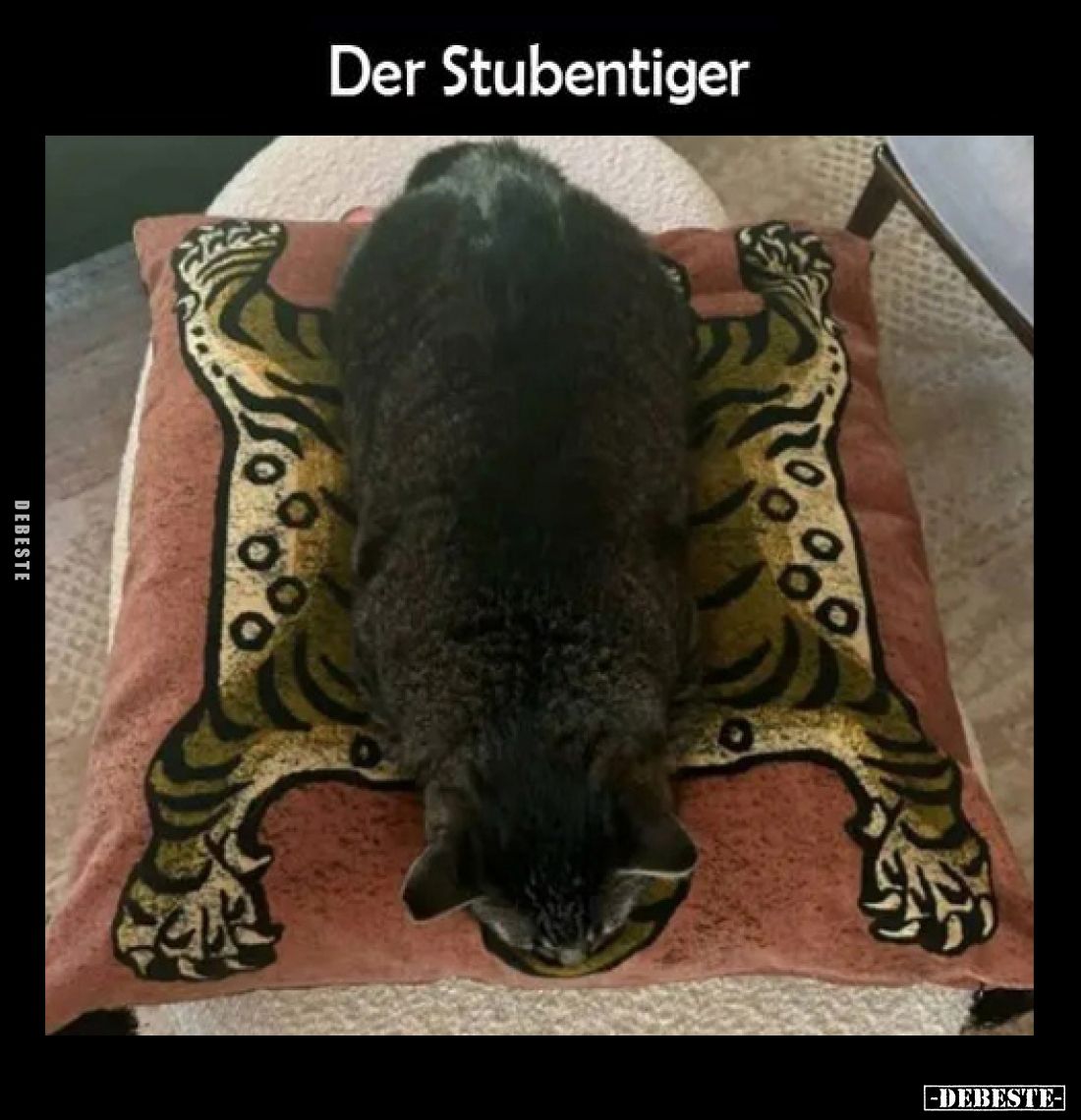 Der Stubentiger