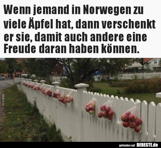 Wenn jemand in Norwegen zu viele Äpfel hat, dann verschenkt.. - Lustige Bilder | DEBESTE.de