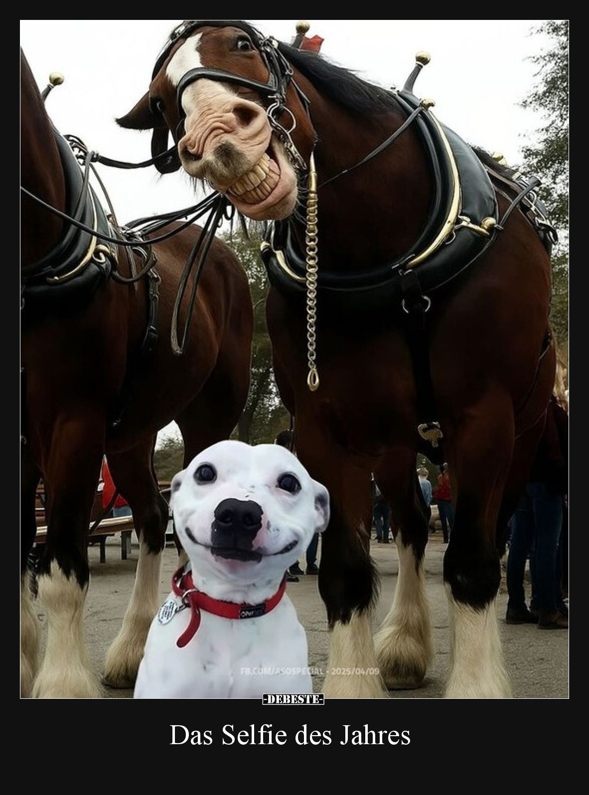 Das Selfie des Jahres