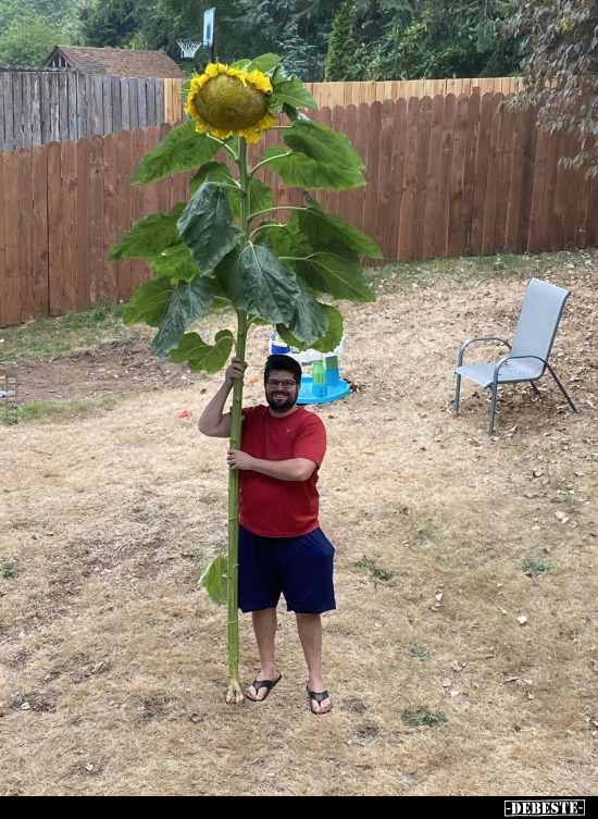  - Lustige Bilder | DEBESTE.de