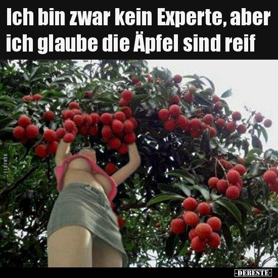 Ich bin zwar kein Experte, aber ich glaube die Äpfel sind.. - Lustige Bilder | DEBESTE.de