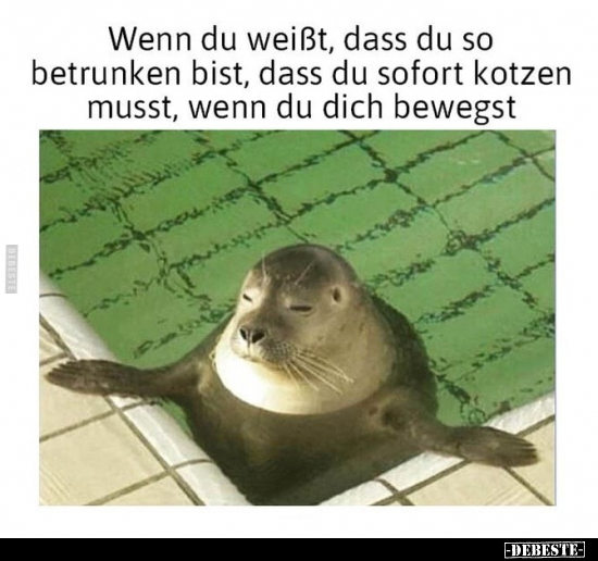 Wenn du weißt, dass du so betrunken bist, dass du sofort.. - Lustige Bilder | DEBESTE.de
