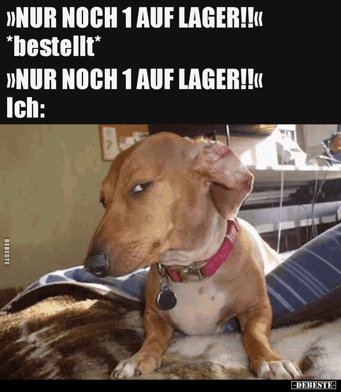  - Lustige Bilder | DEBESTE.de