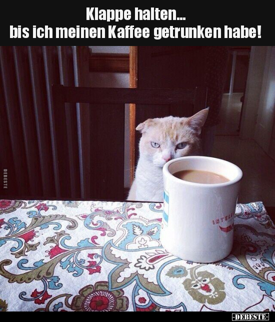 Klappe halten... bis ich meinen Kaffee getrunken habe!.. - Lustige Bilder | DEBESTE.de