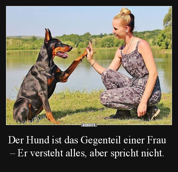 Der Hund ist das Gegenteil einer Frau.. Er versteht alles, aber spricht