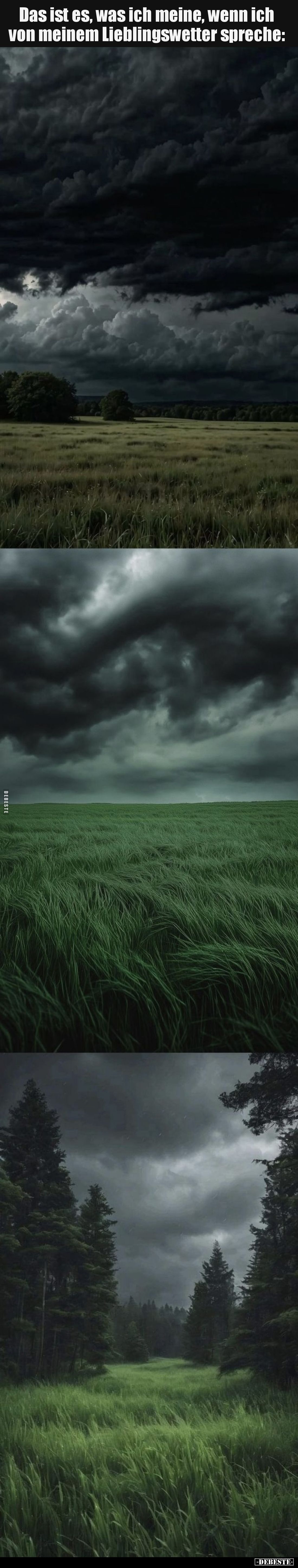 Das ist es, was ich meine, wenn ich von meinem Lieblingswetter spreche: