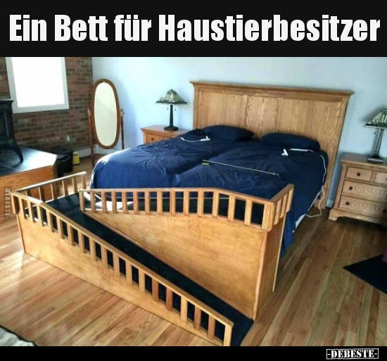 Ein Bett für Haustierbesitzer. - Lustige Bilder | DEBESTE.de