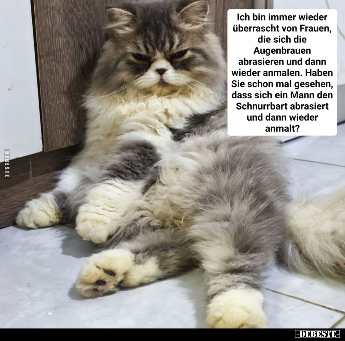 Ich bin immer wieder überrascht von Frauen, die sich die Augenbrauen abrasieren und dann wieder anmalen. Haben Sie schon mal ...