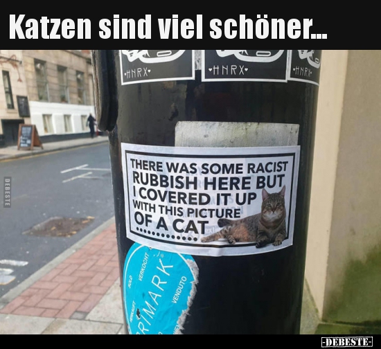 Katzen sind viel schöner...
