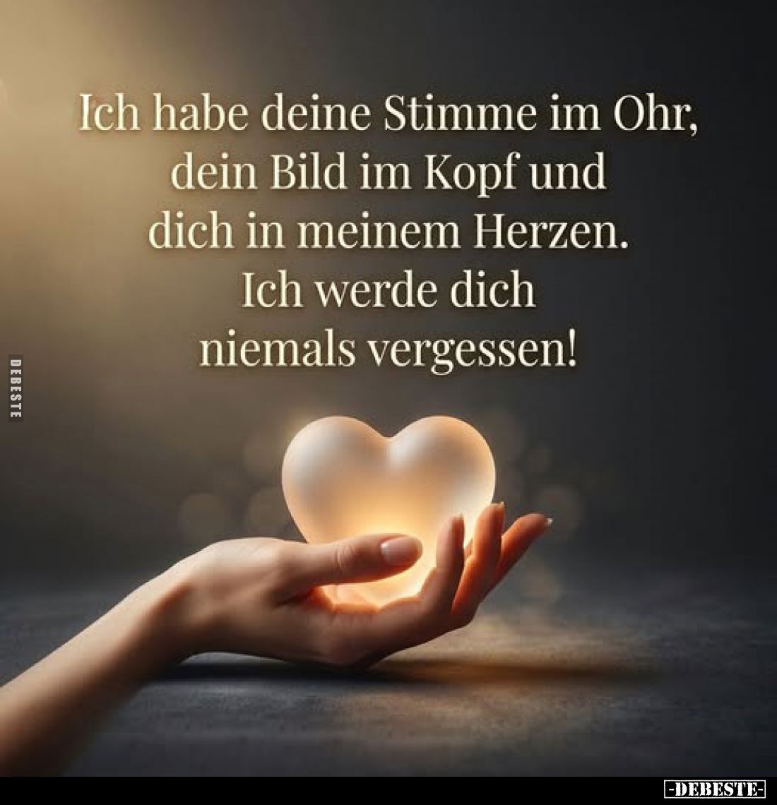 Ich habe deine Stimme im Ohr, dein Bild im Kopf und dich in meinem Herzen. Ich werde dich niemals vergessen!