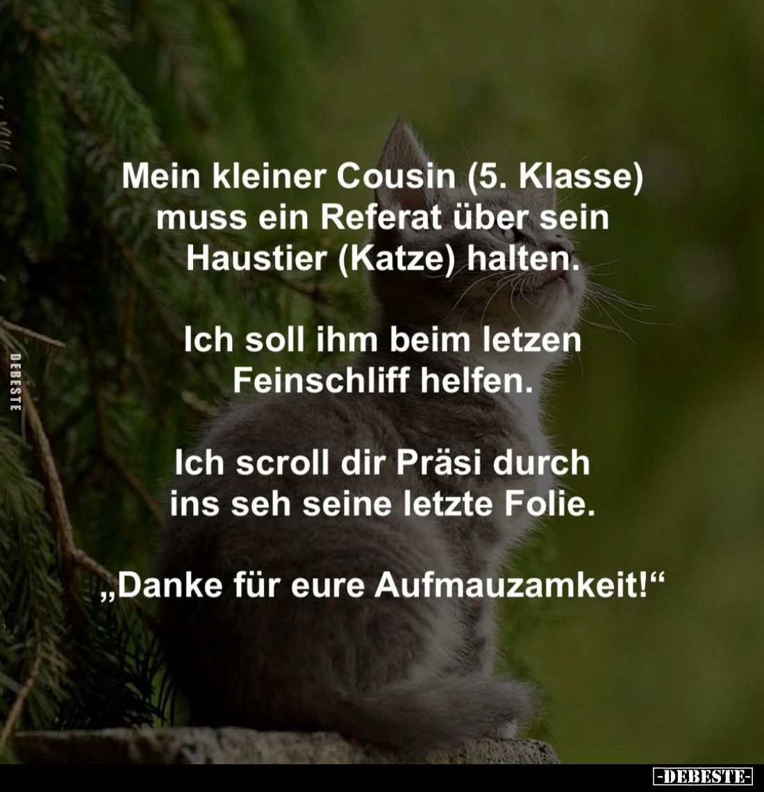 Mein kleiner Cousin (5. Klasse) muss ein Referat über sein Haustier (Katze) halten.
Ich soll ihm beim letzen Feinschliff hel...