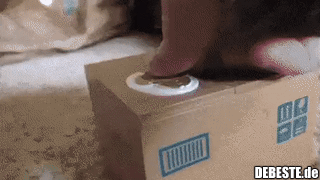  - Lustige Bilder | DEBESTE.de