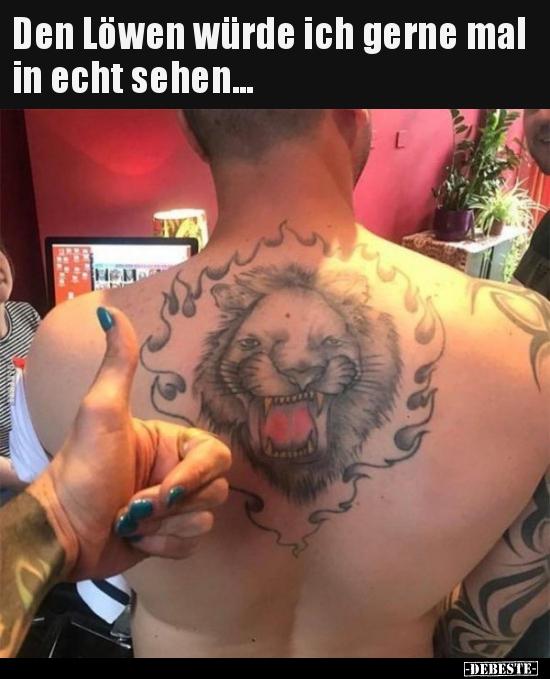 Den Löwen würde ich gerne mal in echt sehen... - Lustige Bilder | DEBESTE.de