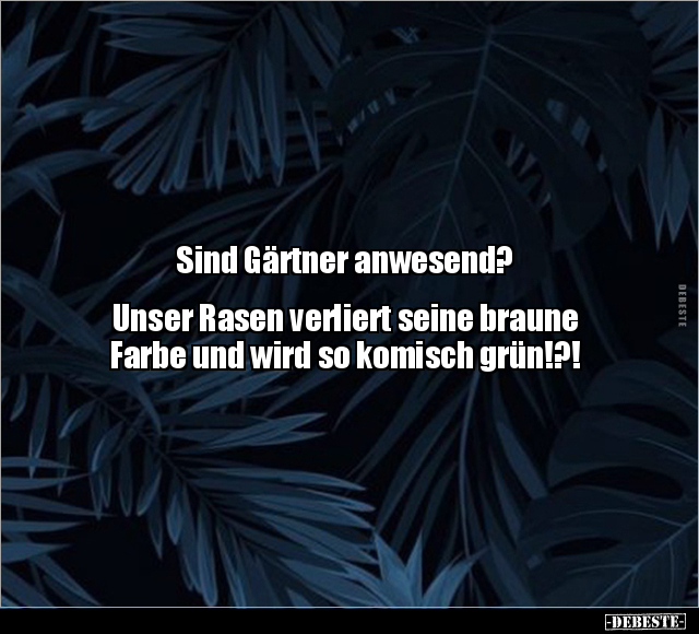 Sind Gärtner anwesend? Unser Rasen verliert seine braune.. - Lustige Bilder | DEBESTE.de