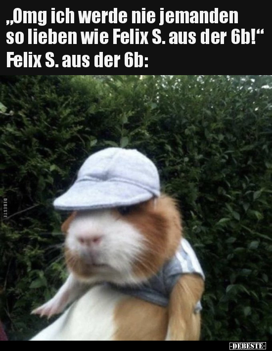 "Omg ich werde nie jemanden so lieben wie Felix S. aus der.." - Lustige Bilder | DEBESTE.de