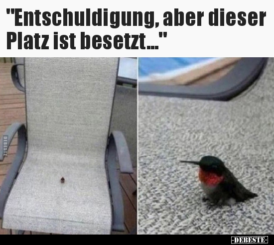 "Entschuldigung, aber dieser Platz ist besetzt...".. - Lustige Bilder | DEBESTE.de