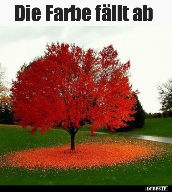 Die Farbe fällt ab..